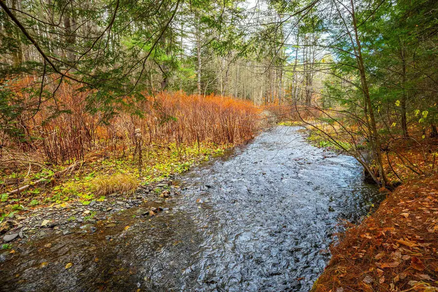 40 E Putney Brook Road, Putney, VT 05346 - Image #3