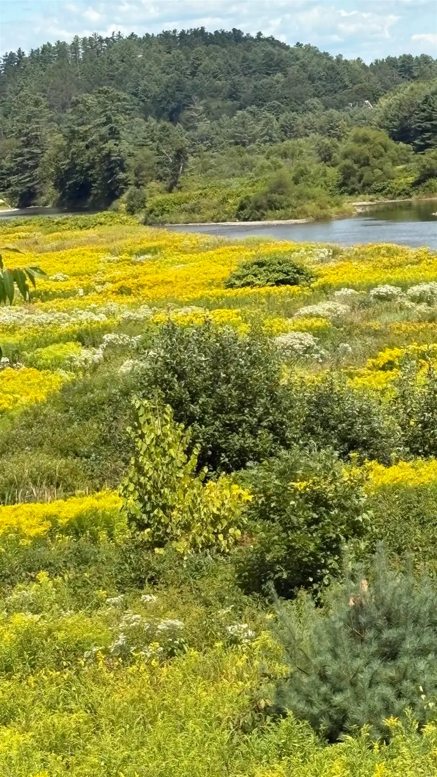 610 Bishop Road #18-2-1 & 180-2-2, Lisbon, NH 03585 - Image #3