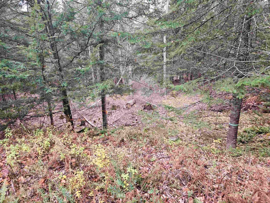 35 Langway Road, Lyman, NH 03585 - Image #2