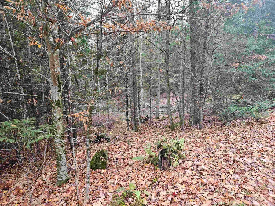 35 Langway Road, Lyman, NH 03585 - Image #3