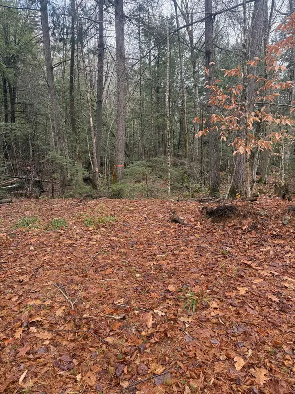 00 Partridge Hill Road #84, Sandwich, NH 03227