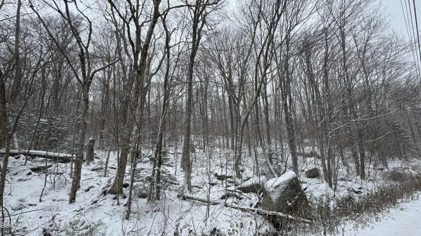 Bergrucken Lane #139 & 140, Readsboro, VT 05350 - Image #1