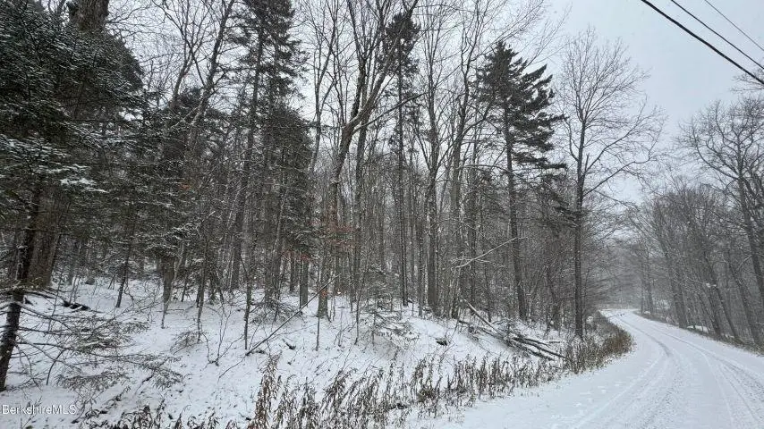 Bergrucken Lane #139 & 140, Readsboro, VT 05350 - Image #3