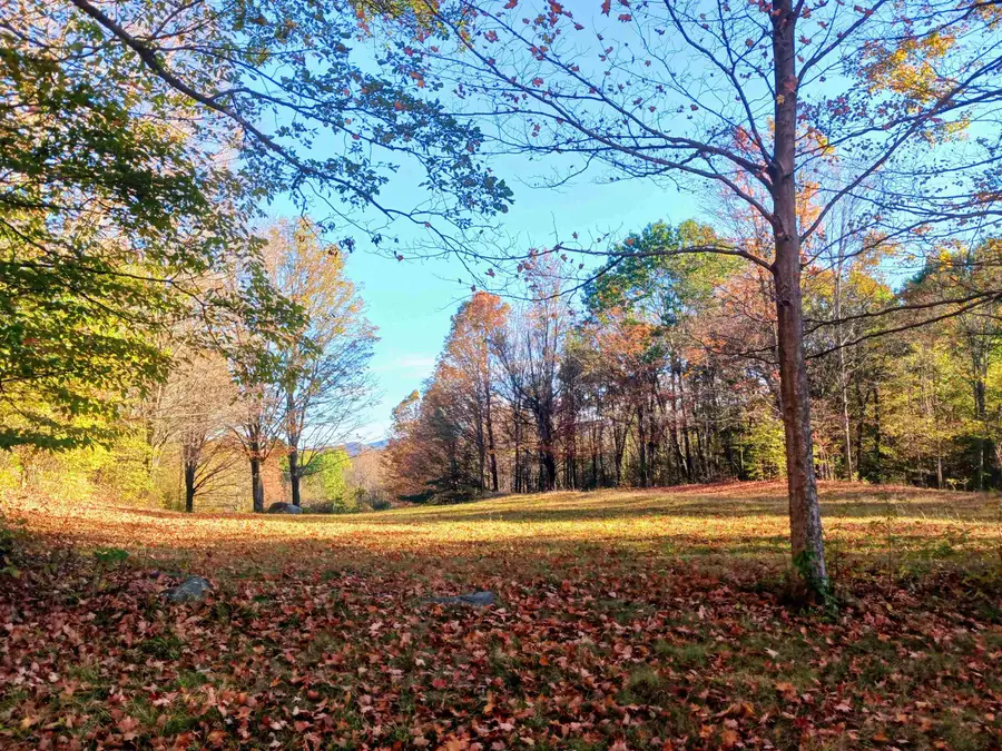 1096 Betts Bridge Road, Pawlet Town, VT 05775 - Image #2