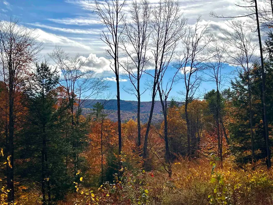 150 Peaked Hill Road, Bristol, NH 03222 - Image #3