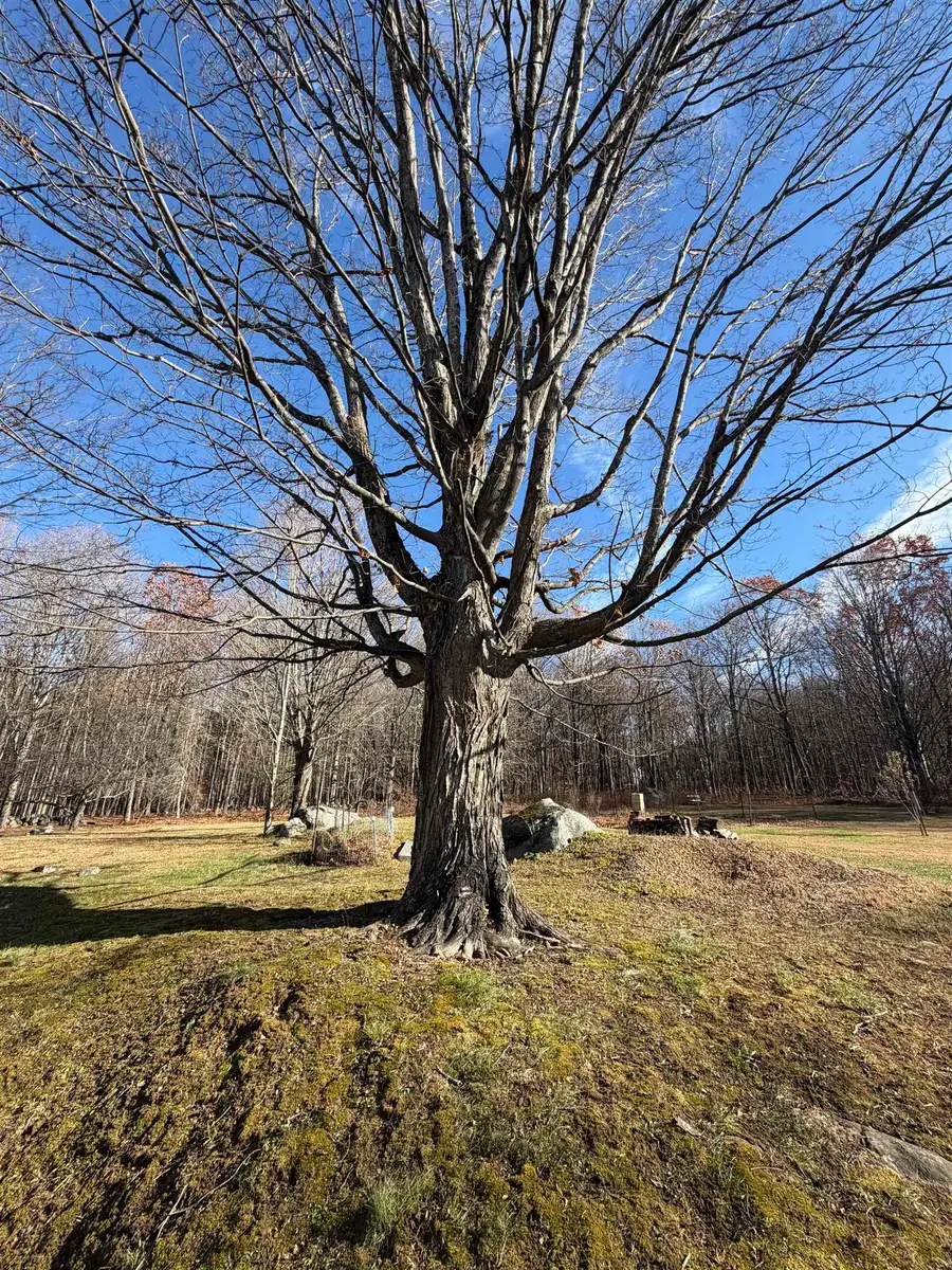 00 Pease Road, Meredith, NH 03253 - Image #2