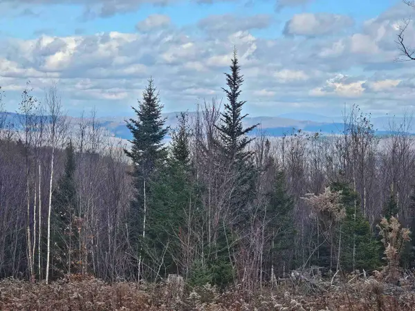 706 VT Route 100, Stratton, VT 05360