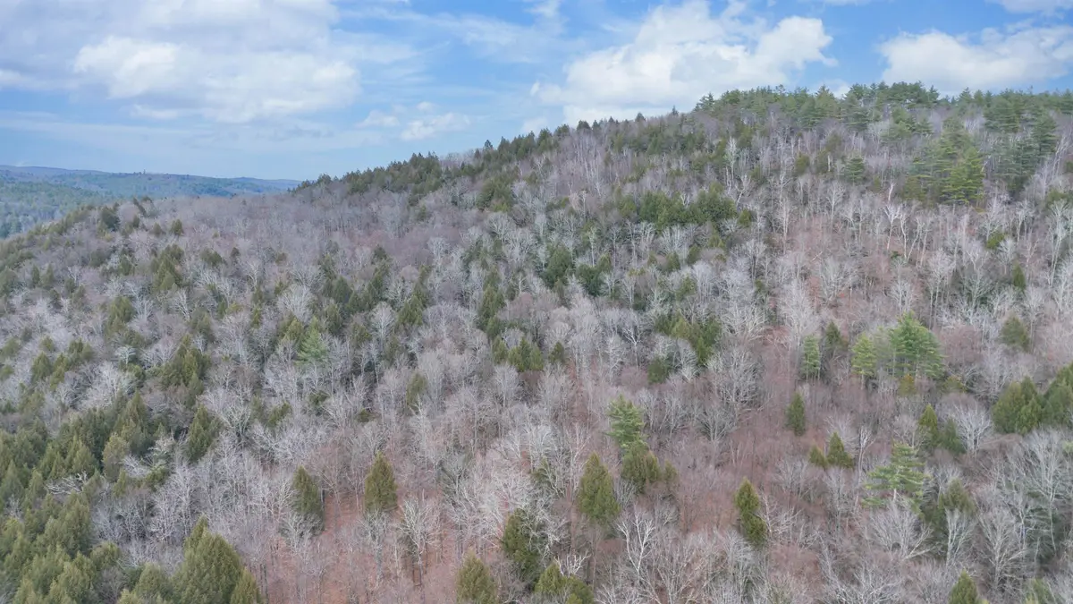 00 Route 100, Jamaica, VT 05343 - Image #1