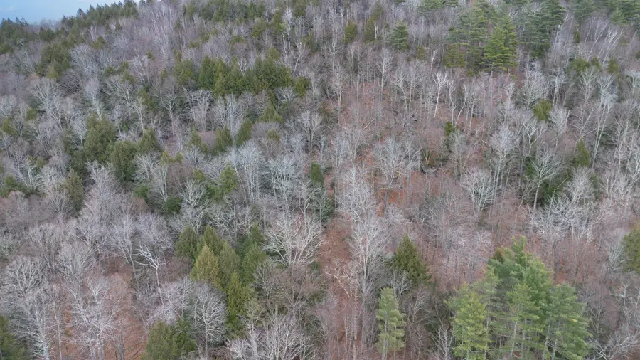 00 Route 100, Jamaica, VT 05343 - Image #3