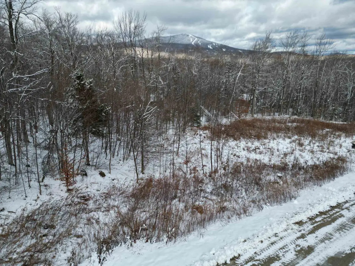 41 Moose Hollow Road, Winhall, VT 05340 - Image #1