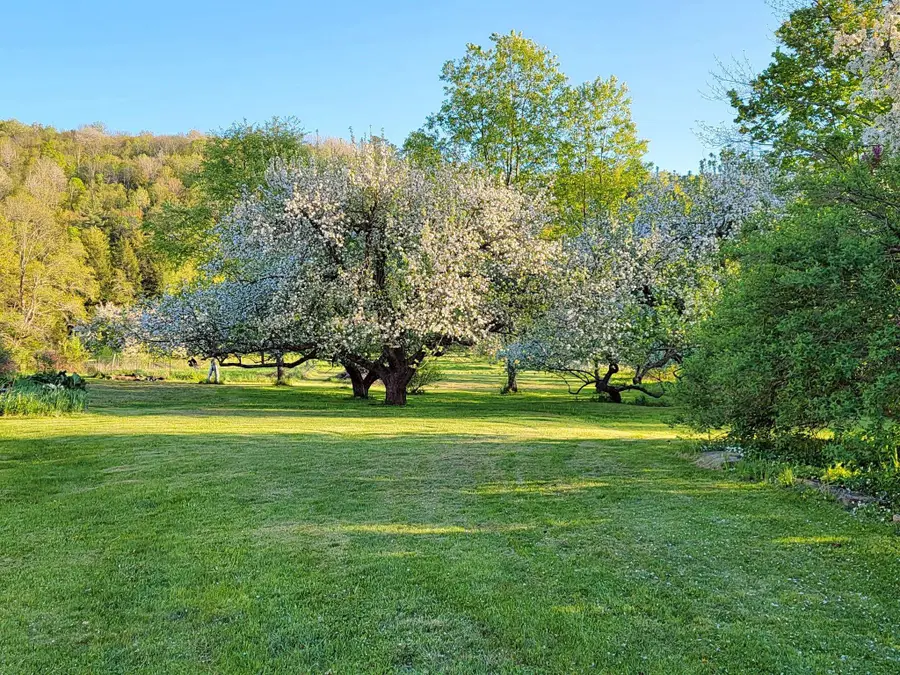 1076 NH Route 123a, Acworth, NH 03607 - Image #2