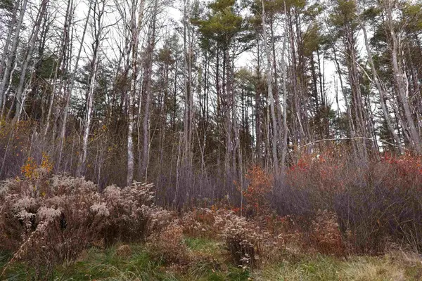 0 US Route 5 South, Norwich, VT 05055