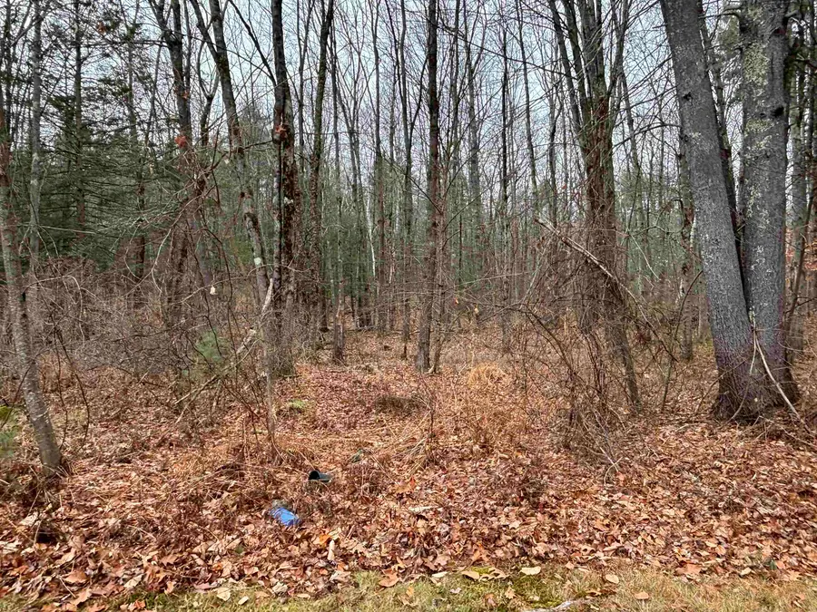 501 E Dunbarton Road, Goffstown, NH 03045 - Image #2