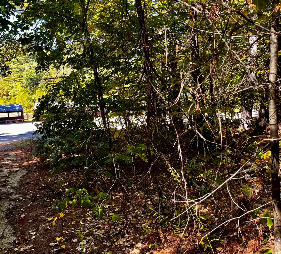 Conway Road #Lot 7, Madison, NH 03849 - Image #3