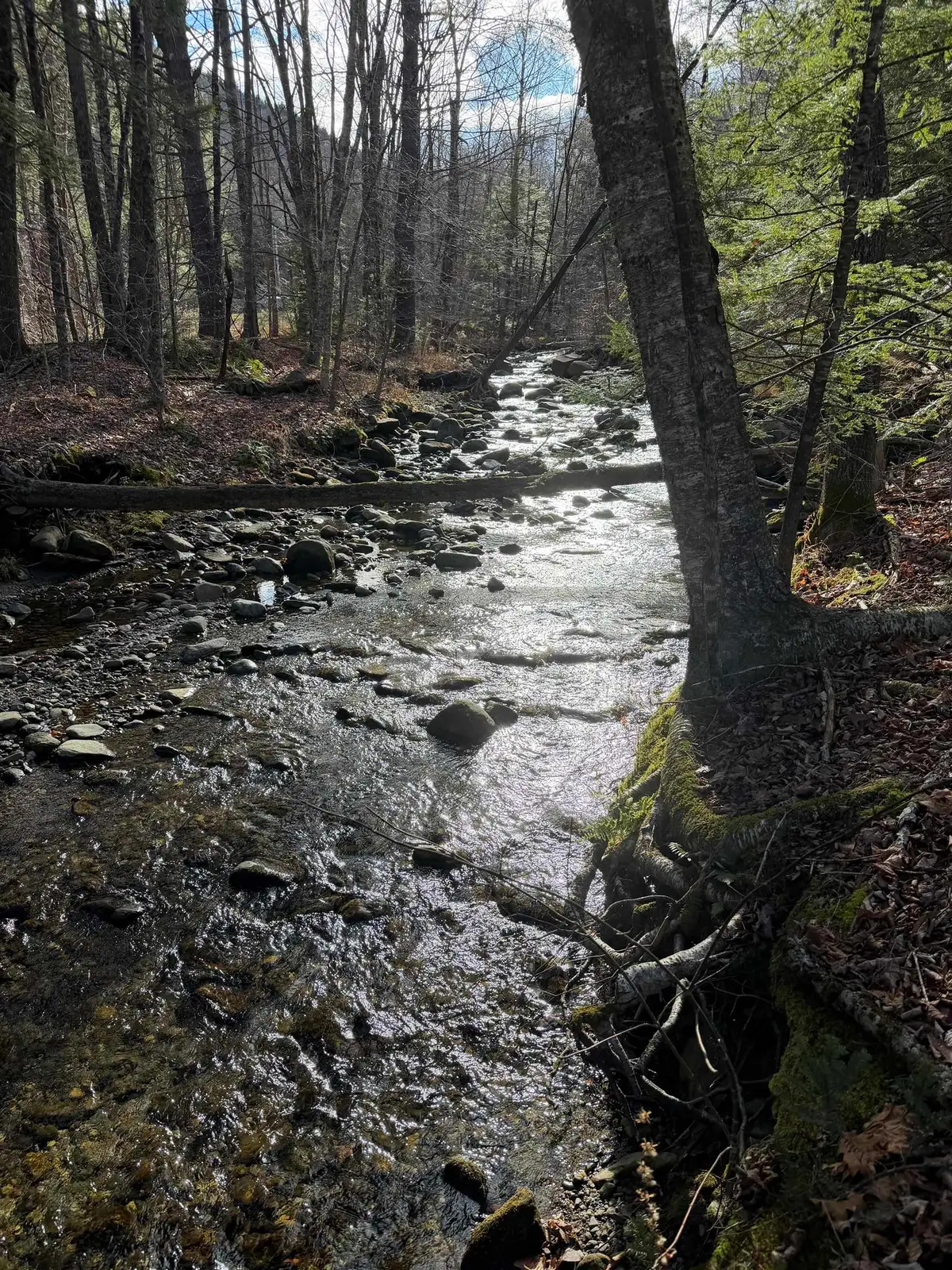 1720 Auger Hole Road, Marlboro, VT 05301 - Image #1