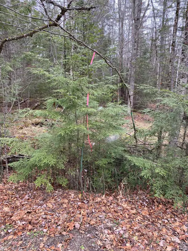 84 Vernon Drive #Also Lots  103 and 104 on Oak Circle, Haverhill, NH 03765