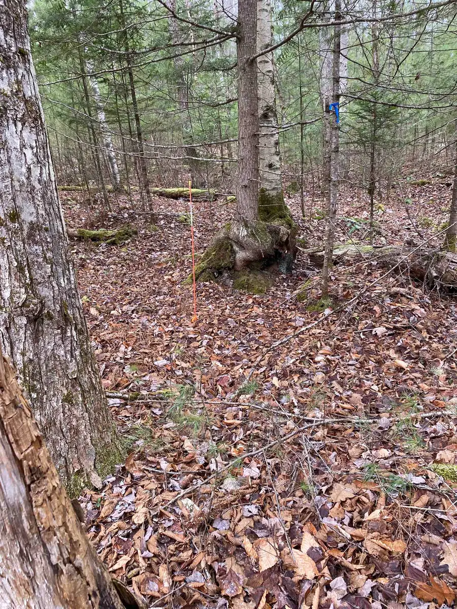 84 Vernon Avenue #Also Lots  103 and 104 on Oak Circle, Haverhill, NH 03765 - Image #3