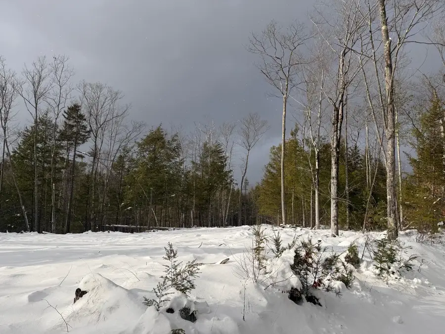 000 Dwinell Road, Troy, NH 03465 - Image #2