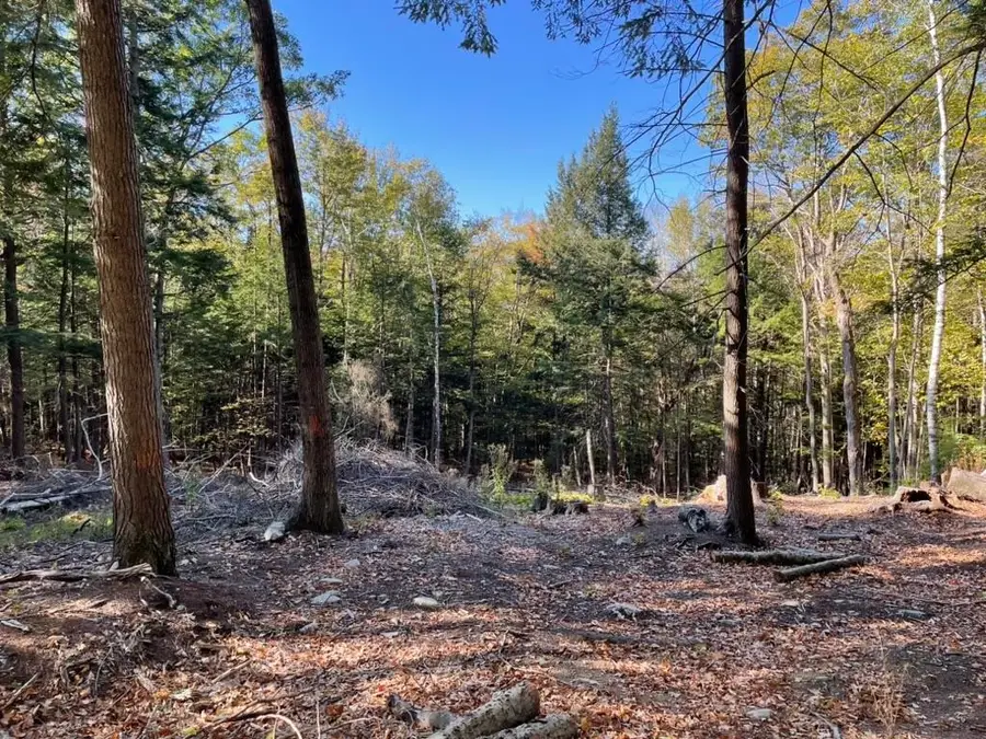 341 Perkins Hill Road #7, Alexandria, NH 03222 - Image #2