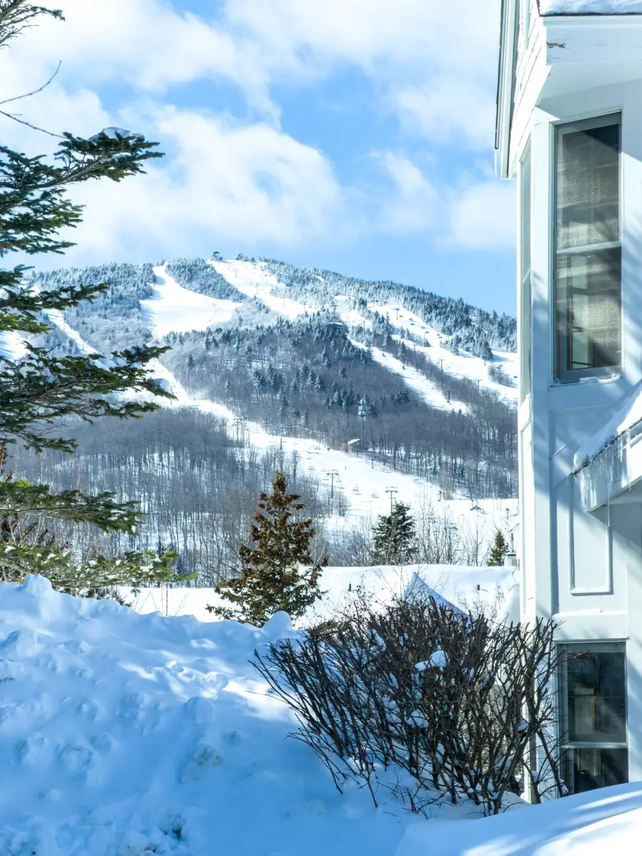 9A Windham Way, Dover, VT 05356 - #2