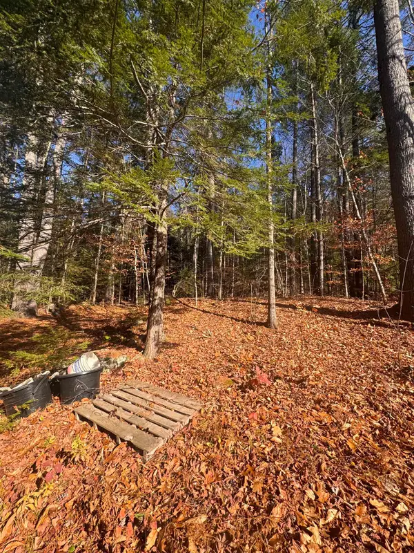 00 Newbury Road #04-764-534, Sutton, NH 03260