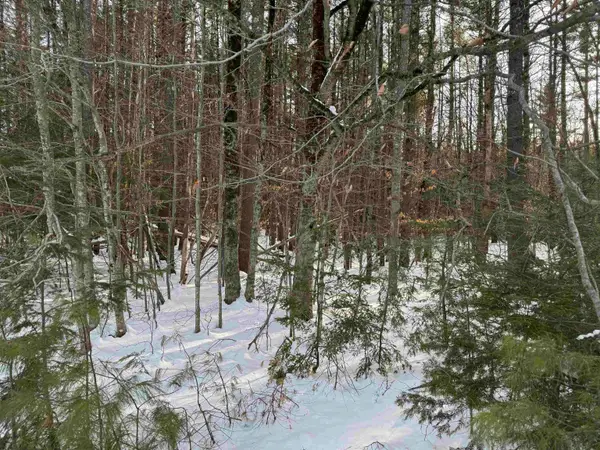 00 Route 25 W, Tamworth, NH 03883