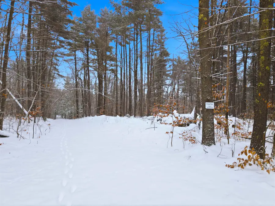 22 West Bergamo Road, Madison, NH 03849 - Image #3