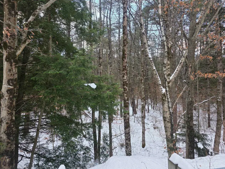 0 Route 10, Gilsum, NH 03448 - Image #3