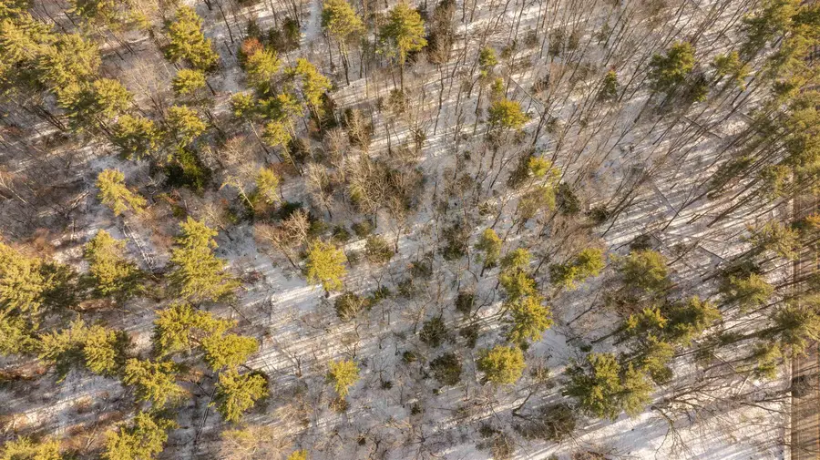 Lot 56-2 Chester Road, Auburn, NH 03032 - Image #2