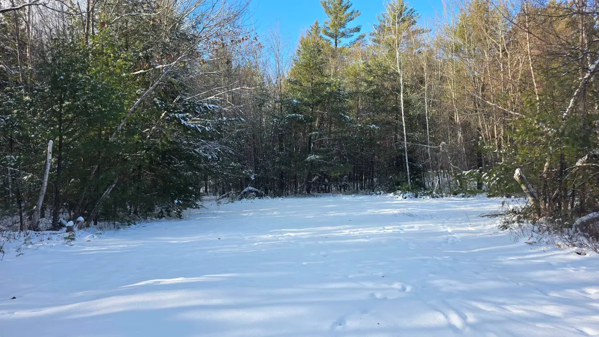 468 Province Road, Belmont, NH 03220 - Image #1