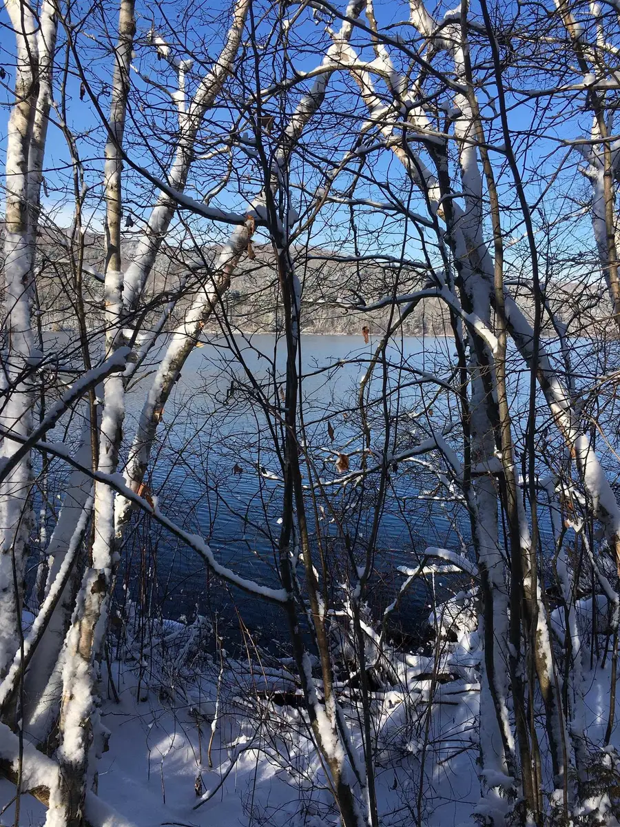 00 Paine Turnpike South, Berlin, VT 05602 - Image #3