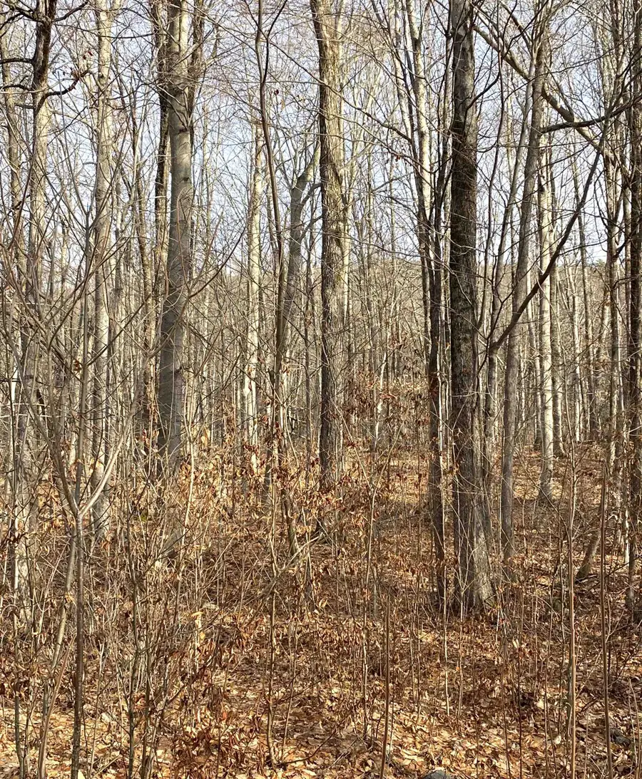 20 Forest Ridge Drive #14, Middlebury, VT 05753 - #3