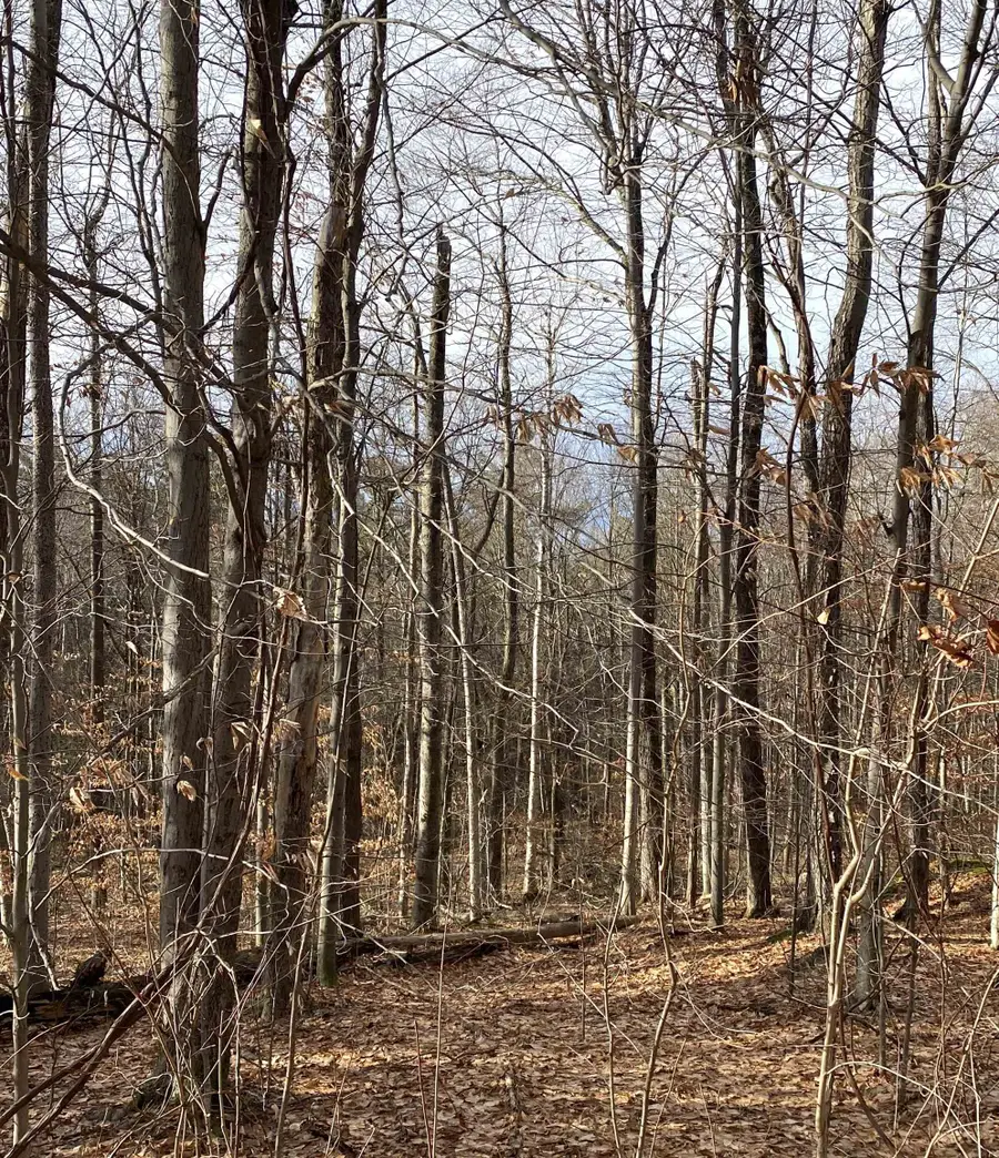 6 Fred Johnson Circle #17, Middlebury, VT 05753 - #2