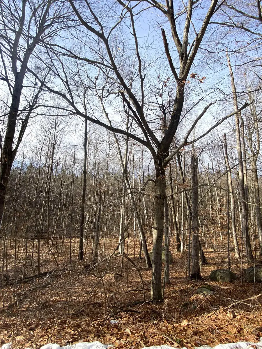 6 Fred Johnson Circle #17, Middlebury, VT 05753 - #3