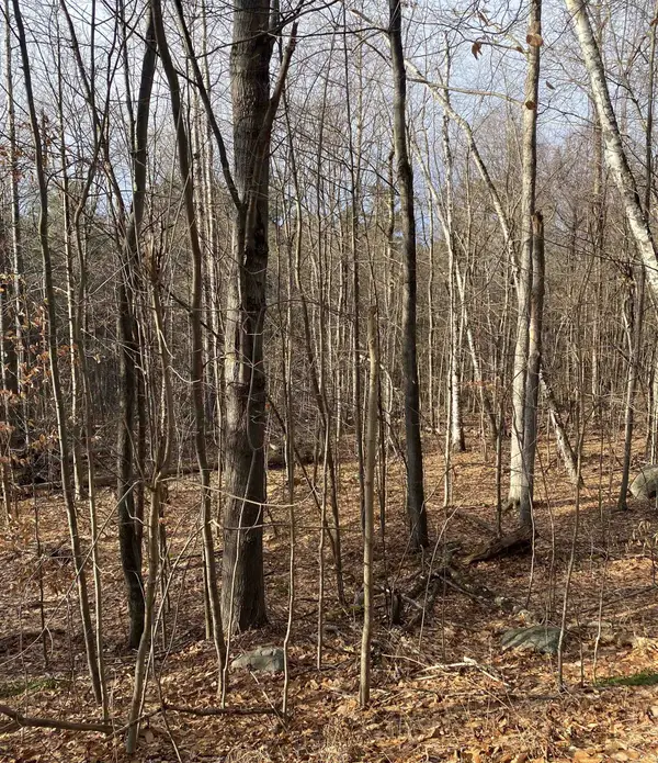 8 Fred Johnson Circle #16, Middlebury, VT 05753