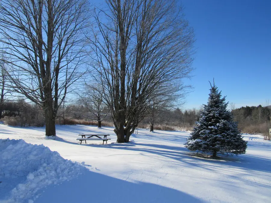 4472 Route 14 North, Irasburg, VT 05845 - Image #2