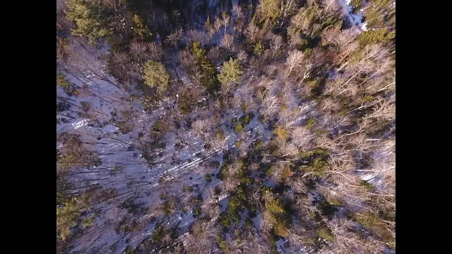 0 Waterford Hollow Lane, Waterford, VT 05819 - Image #2