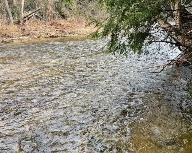 192 Pingree Park Lane #Lot 4, Londonderry, VT 05148 - Image #2