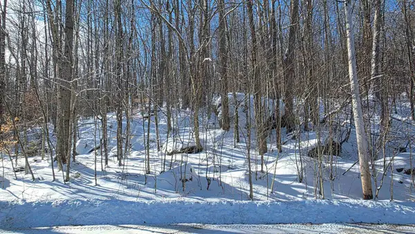 M111 L24&25 Tigola Trail, Stoddard, NH 03464