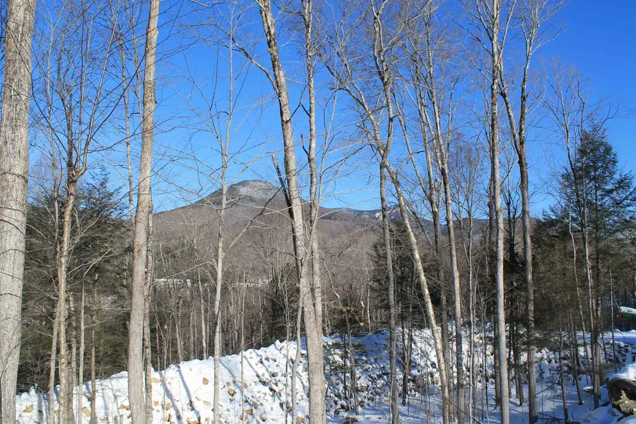 36 Alpine Drive, Lincoln, NH 03251 - Image #2