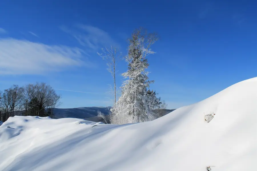 36 Alpine Drive, Lincoln, NH 03251 - Image #3