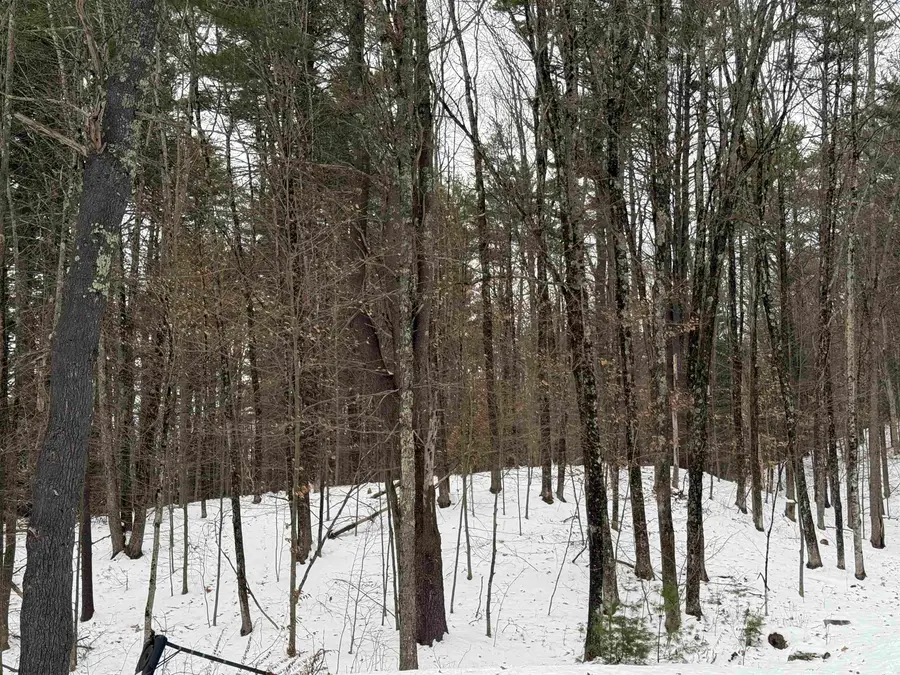 14-2 Jewett Road, Hopkinton, NH 03229 - Image #3