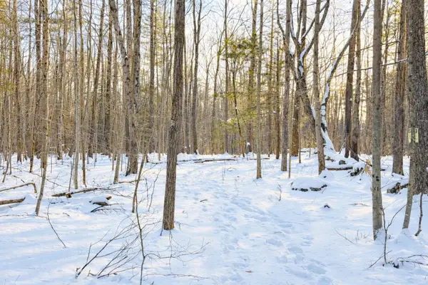 Lot 80-1 Currier Road, Candia, NH 03034