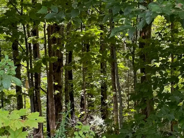 VT 14 Route, Albany, VT 05820