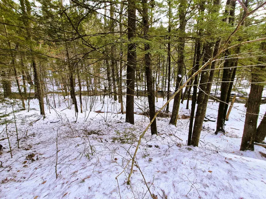 525 Richmond Road, Winchester, NH 03470 - Image #3