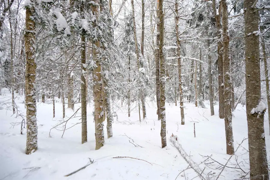 0000 Baird Road, Newark, VT 05871 - Image #2