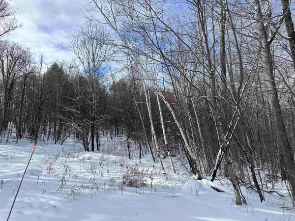 0 Stratton Gardens Road #Lot 23, Winhall, VT 05340