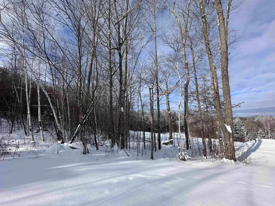 0 Stratton Gardens Road #Lot 23, Winhall, VT 05340 - #3
