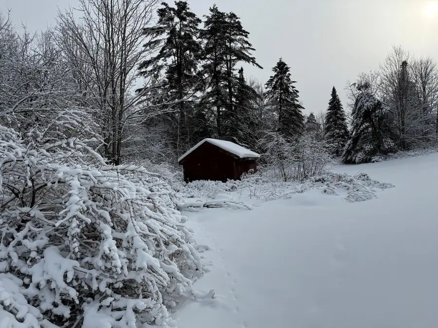 571 Bliss Road, Woodbury, VT 05681 - Image #3