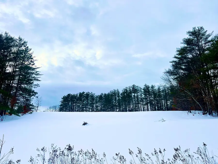 200 Walker Road, Alexandria, NH 03222 - Image #3